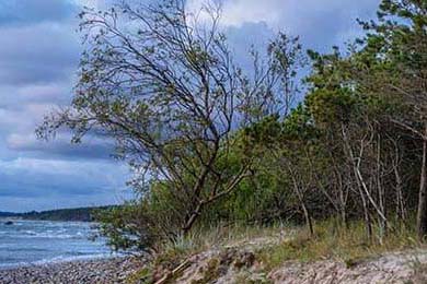 AC米兰客场击败尤文图斯豪取意甲积分榜首，ac米兰vs尤文图斯比分预测