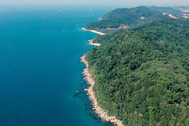 CBA新赛季期待值爆棚，球迷热情高涨，cba 新赛季